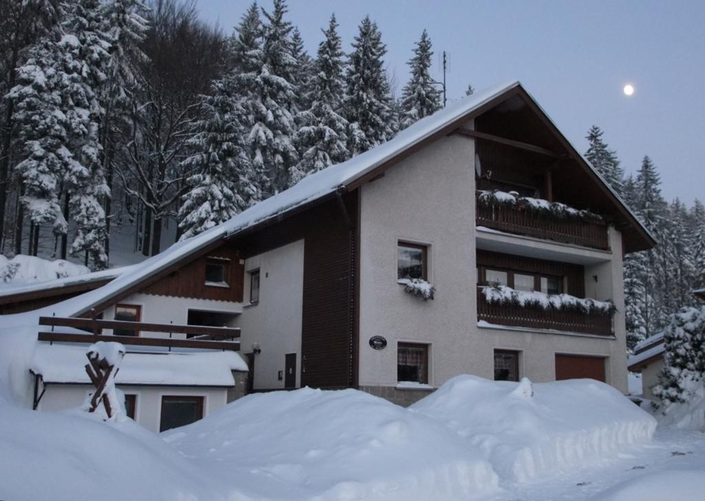 Apartmany Mueller Bedřichov Buitenkant foto